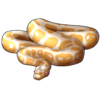 Ball Python: Albino